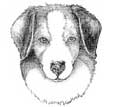 hound.jpg (2464 bytes)